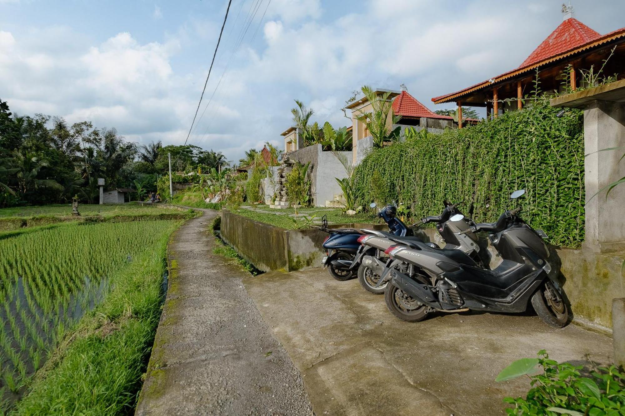 Carik Mesari Villas Ubud Eksteriør billede