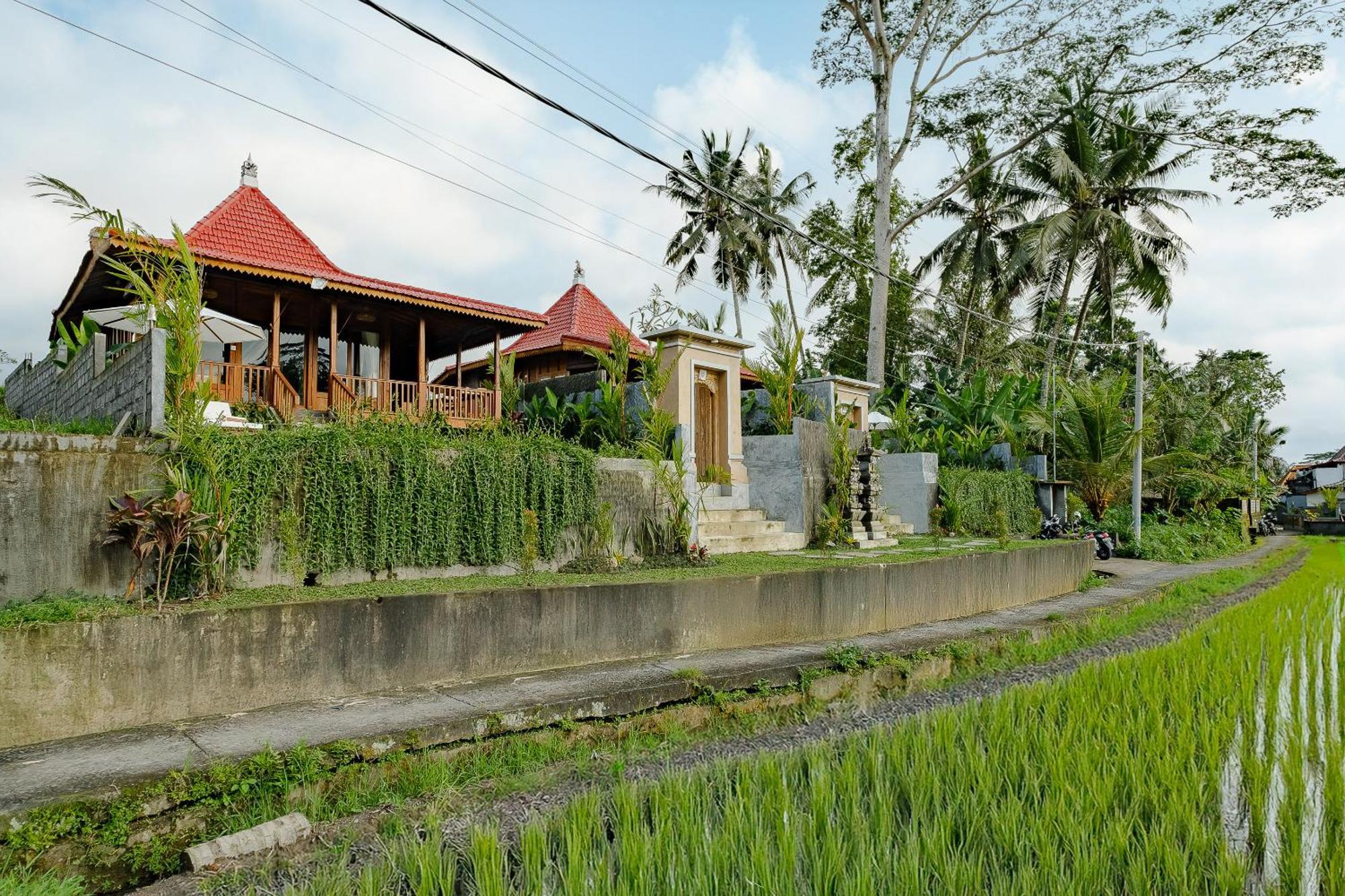 Carik Mesari Villas Ubud Eksteriør billede
